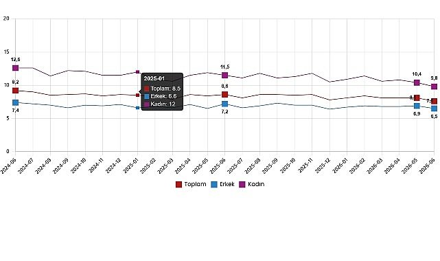 İşgücü İstatistikleri, Haziran 2026