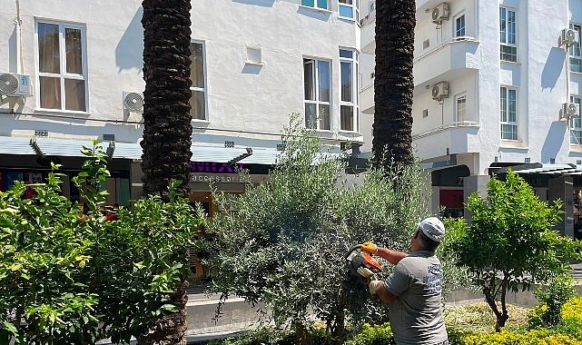 Büyükşehir ekiplerinden Kemer Liman Caddesi’nde çalışma